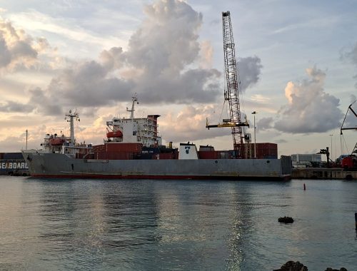 WhatsApp Image 2025-08-21 at 19.34.44